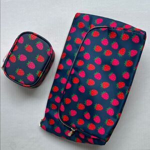 Danny Lee XL Double Zip Cosmetic Case and Pill Case set